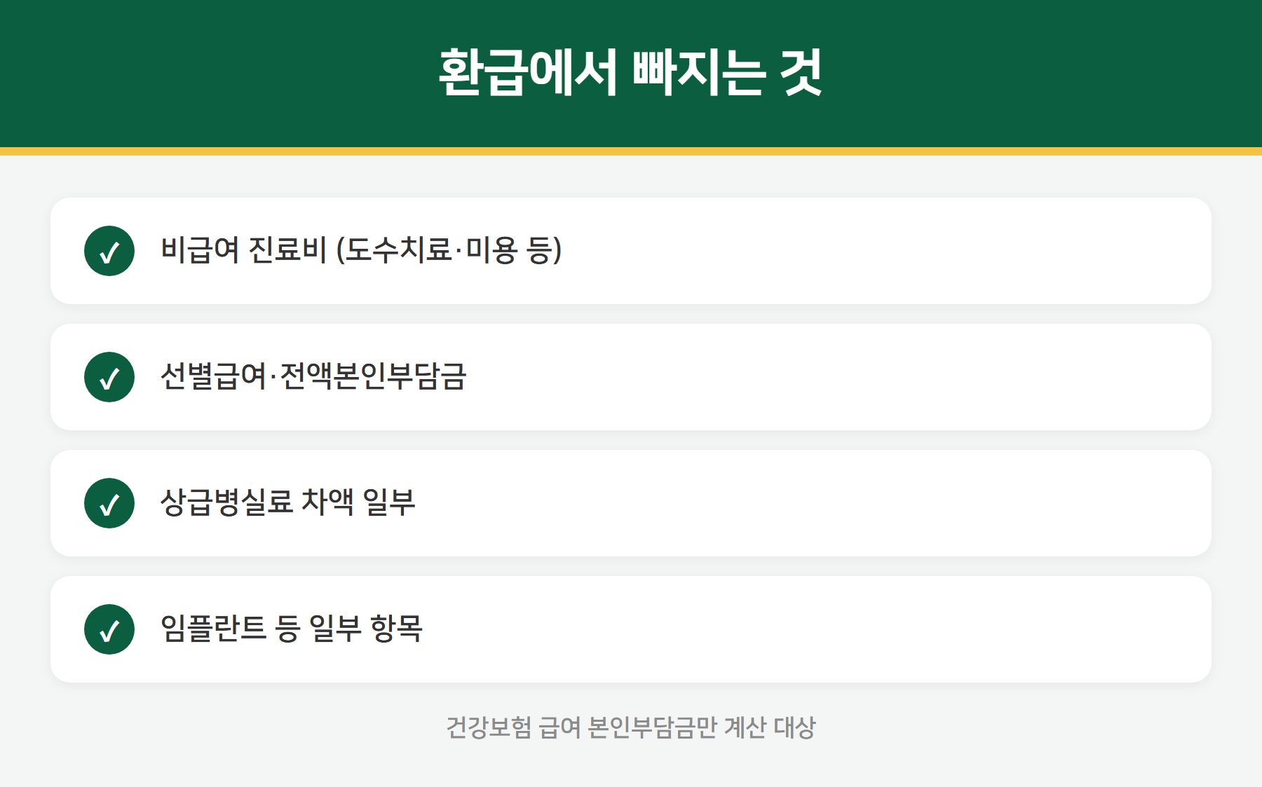 본인부담상한제 제외 항목