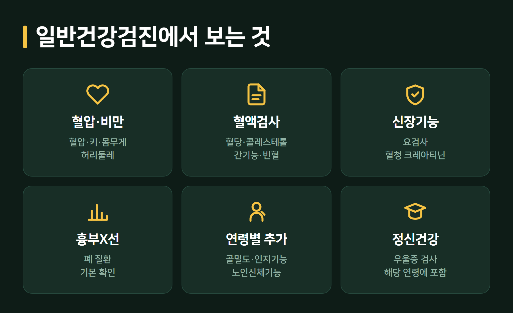 일반건강검진 항목