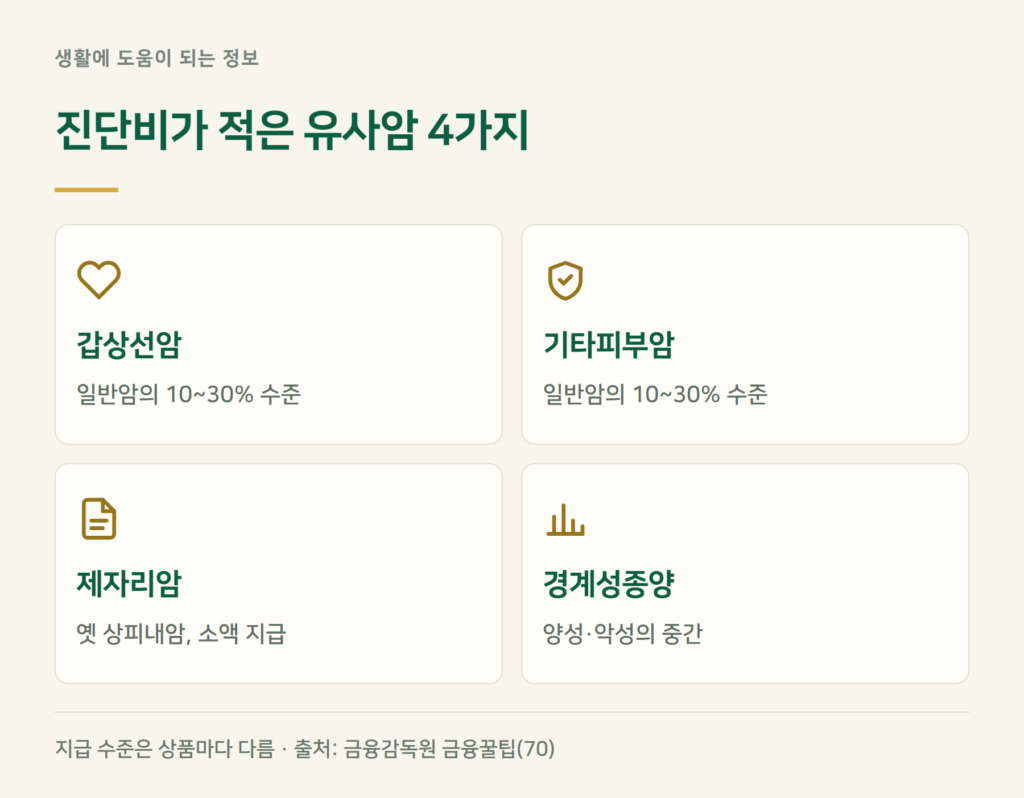 유사암이란? 갑상선암·제자리암 진단비가 적은 이유