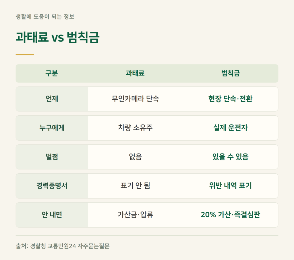 과태료와 범칙금 차이, 벌점은 언제 붙나요?