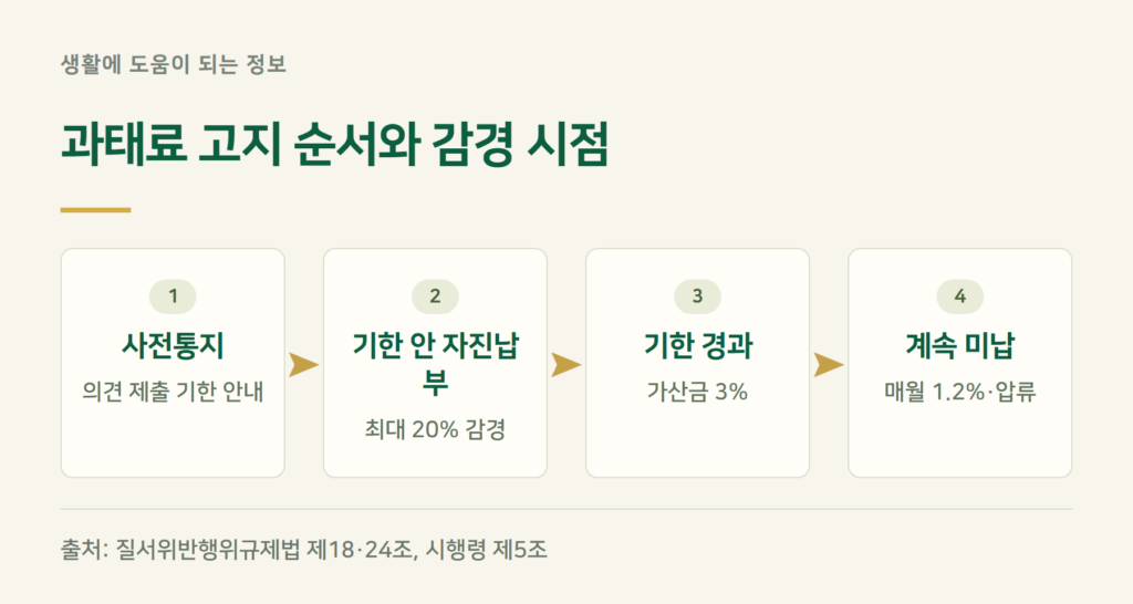 과태료 자진납부 20% 감경, 언제까지 내야 하나요?