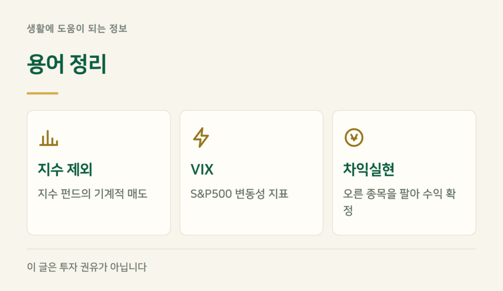 용어 정리 — 지수 제외, VIX, 차익실현